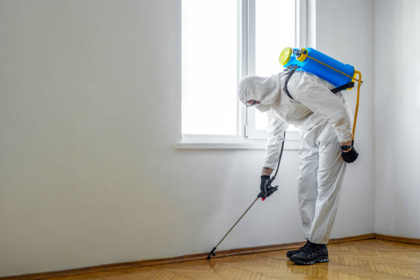 Best Best Pest Control Companies  in Wolfdale, PA